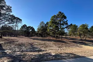 3135 Shadow Pne Dr, LaRue, TX 75770 - Photo 1