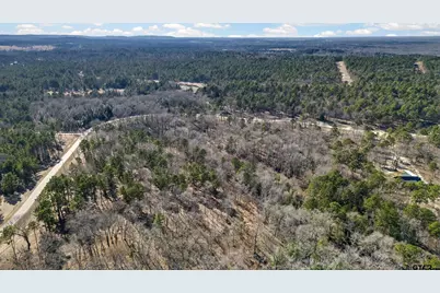 3200 Shadow Pine Dr, LaRue, TX 75770 - Photo 11