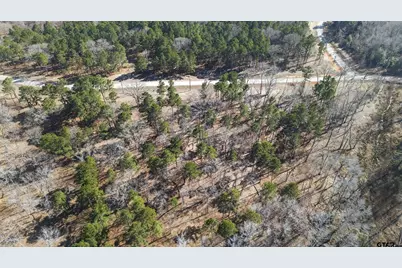 3200 Shadow Pine Dr, LaRue, TX 75770 - Photo 15