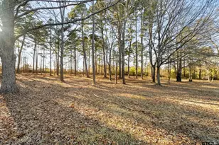 130 Surrey Trail, Tyler, TX 75705 - Photo 39