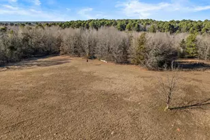 3349 Fm 1519 N, Leesburg, TX 75451 - Photo 21