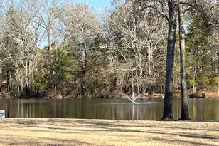 5911 Northstar Blvd, Tyler, TX 75703 - Photo 27