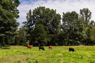 5624 E Fm 323, Palestine, TX 75801 - Photo 29