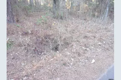 Tbd Lake Side Drive, Flint, TX 75762 - Photo 3