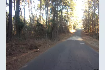 Tbd Lake Side Drive, Flint, TX 75762 - Photo 5