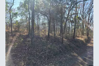 000 County Road 1418, Quitman, TX 75783 - Photo 7