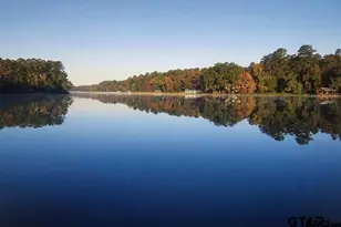 569 Private Rd 6662, Mineola, TX 75773 - Photo 37