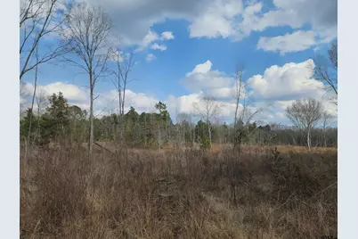 Tbd Cr 2312, Pittsburg, TX 75686 - Photo 3