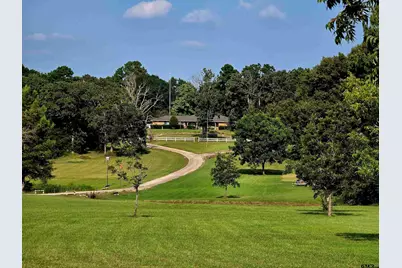 7991 Fm 314, Ben Wheeler, TX 75754 - Photo 1