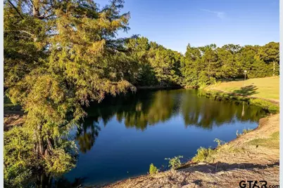 7991 Fm 314, Ben Wheeler, TX 75754 - Photo 15