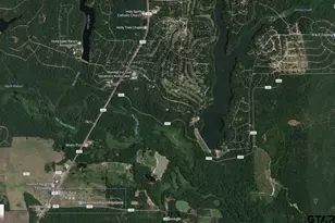 130 Pueblo Path, Holly Lake Ranch, TX 75765 - Photo 41