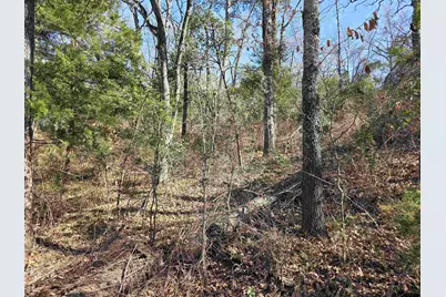 000 County Road 1420, Quitman, TX 75783 - Photo 3