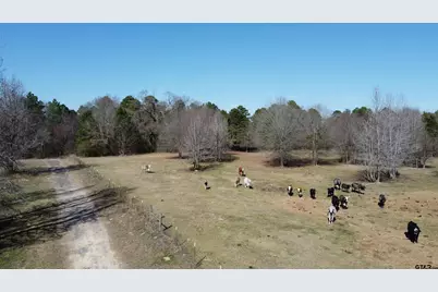 605 Cr 2100, Quitman, TX 75783 - Photo 1