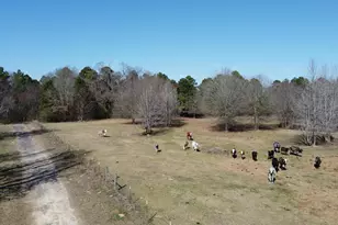 605 Cr 2100, Quitman, TX 75783 - Photo 1