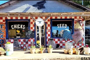 115 Compress, Pittsburg, TX 75686 - Photo 1