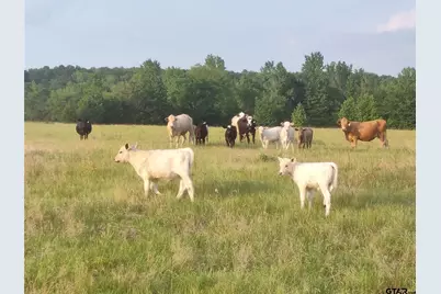 400 County Road 2775, Mineola, TX 75773 - Photo 9