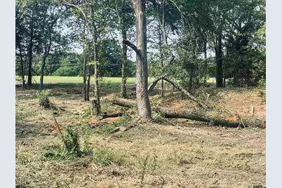 Lot 6 , Leach Woods East  Cr 1560, Alba, TX 75410 - Photo 13