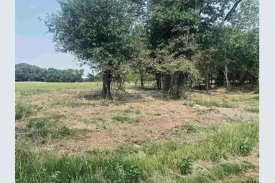 Lot 6 , Leach Woods East  Cr 1560, Alba, TX 75410 - Photo 17