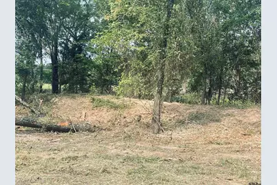 Lot 6 , Leach Woods East  Cr 1560, Alba, TX 75410 - Photo 11