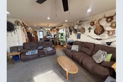 1117 County Road 2421, Leesburg, TX 75451 - Photo 7