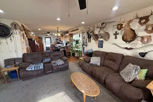 1117 Co Rd 2421, Leesburg, TX 75451 - Photo 7