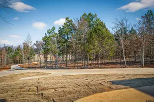 16943 Ridgeline Loop, Winona, TX 75792 - Photo 43