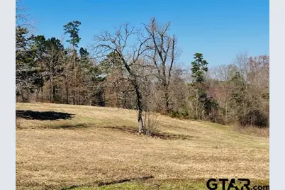 Tbd Ridgeline Loop Lot 92, Winona, TX 75792 - Photo 7