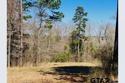 Tbd Ridgeline Loop Lot 92, Winona, TX 75792 - Photo 9