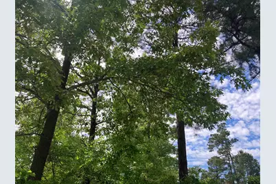 Tbd Ridgeline Loop Lot 92, Winona, TX 75792 - Photo 15