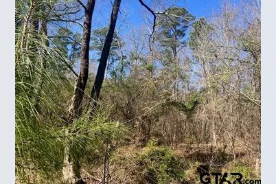Tbd Ridgeline Loop Lot 92, Winona, TX 75792 - Photo 13