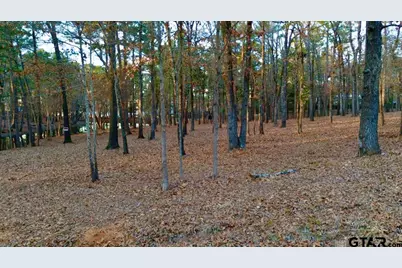 Tbd Hickory Trl (Lot 11E), Flint, TX 75762 - Photo 1