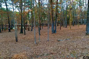 Tbd Hickory Trl (Lot 11E), Flint, TX 75762 - Photo 1