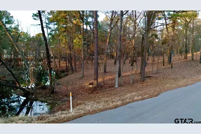 Tbd Hickory Trl (Lot 11D), Flint, TX 75762 - Photo 5