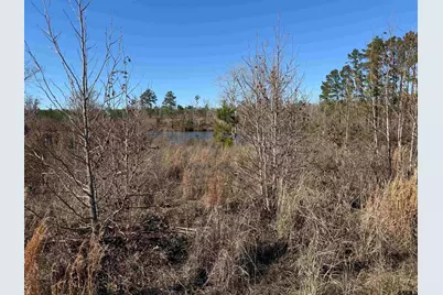 Tbd Cr 1110 - Tract 2, Rusk, TX 75785 - Photo 5