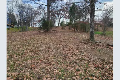 Tbd Cr 2610, Pittsburg, TX 75686 - Photo 7