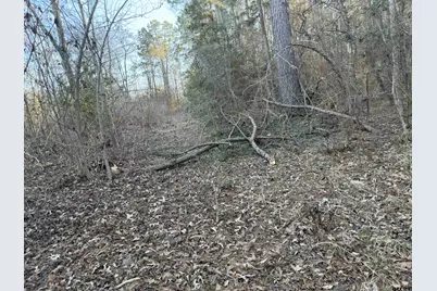 931 Cr 1627, Rusk, TX 75785 - Photo 15