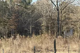 931 Cr 1627, Rusk, TX 75785 - Photo 13