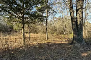 931 Cr 1627, Rusk, TX 75785 - Photo 3