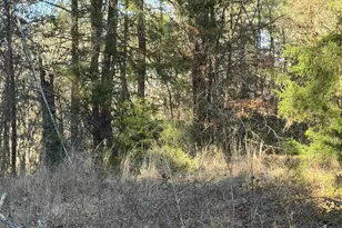 931 Cr 1627, Rusk, TX 75785 - Photo 9