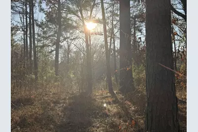 931 Cr 1627, Rusk, TX 75785 - Photo 17