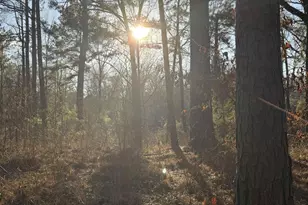 931 Cr 1627, Rusk, TX 75785 - Photo 17