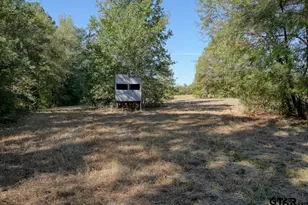 8477 S FM 14, Hawkins, TX 75765 - Photo 41