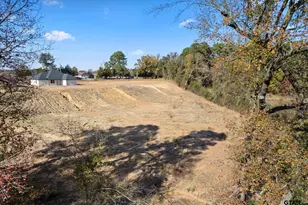 285 Cr 4323, Pittsburg, TX 75686 - Photo 19