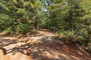 462 Co Rd 3911, Jacksonville, TX 75766 - Photo 33