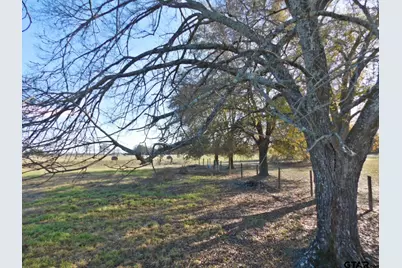 Tbd Fm 2088, Quitman, TX 75783 - Photo 5