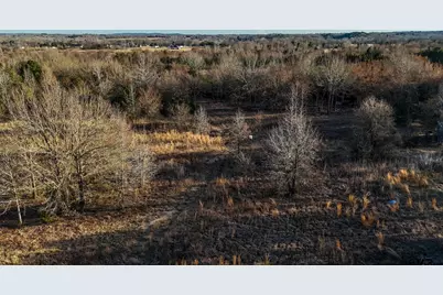 1352 Vz County Road 4512, Ben Wheeler, TX 75754 - Photo 3