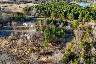 1352 Vz County Rd 4512, Ben Wheeler, TX 75754 - Photo 7