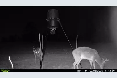 000 Cr 3854, Hawkins, TX 75765 - Photo 39