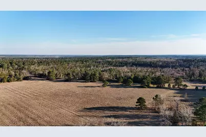 000 Cr 3854, Hawkins, TX 75765 - Photo 15