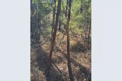 000 Cr 3854, Hawkins, TX 75765 - Photo 37